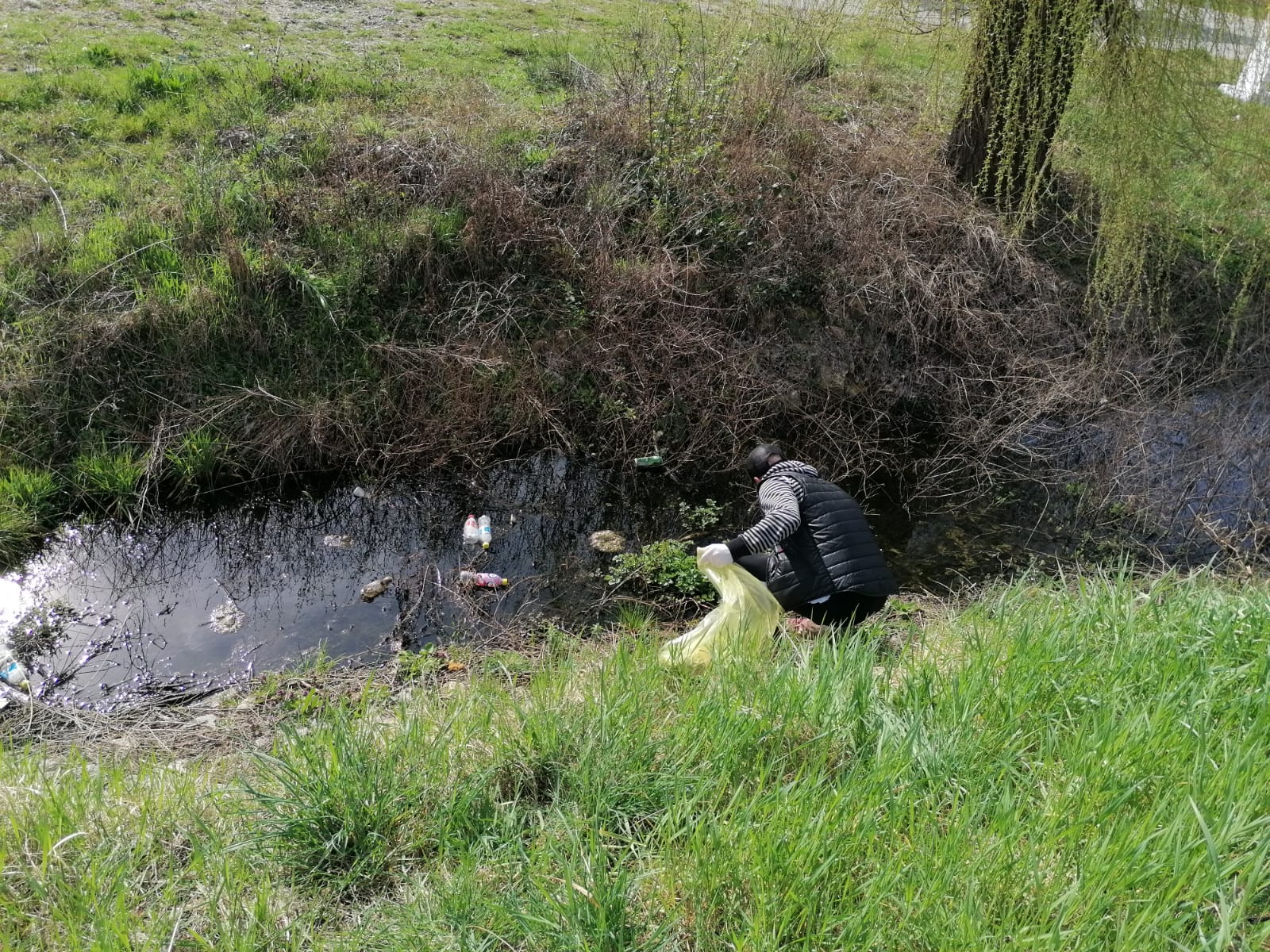 curatenie ecologizare Margina (7)