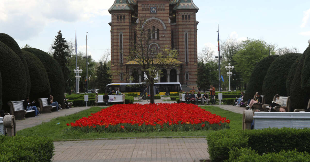 Ce evenimente interesante ne așteaptă astăzi, 15 mai 2025, în Timișoara? Ce evenimente interesante ne așteaptă astăzi, 15 mai 2025, în Timișoara?