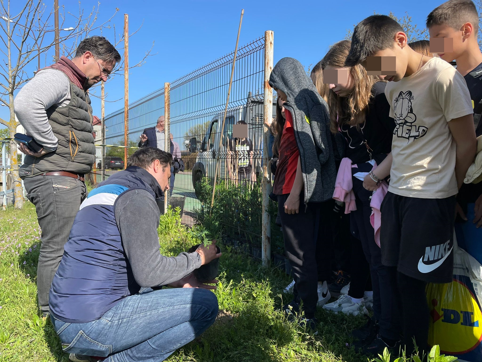 plantare plantari (1)