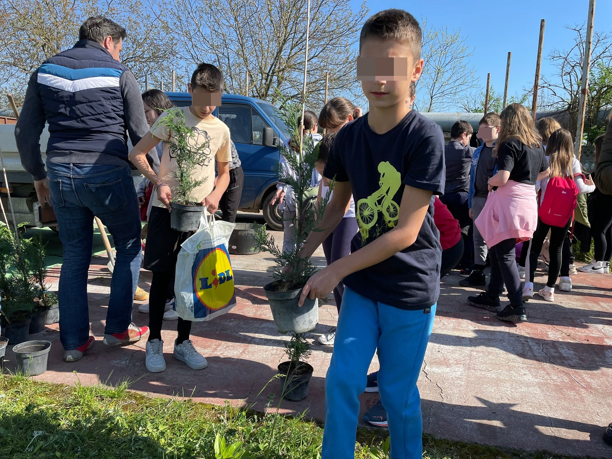 plantare plantari (5)