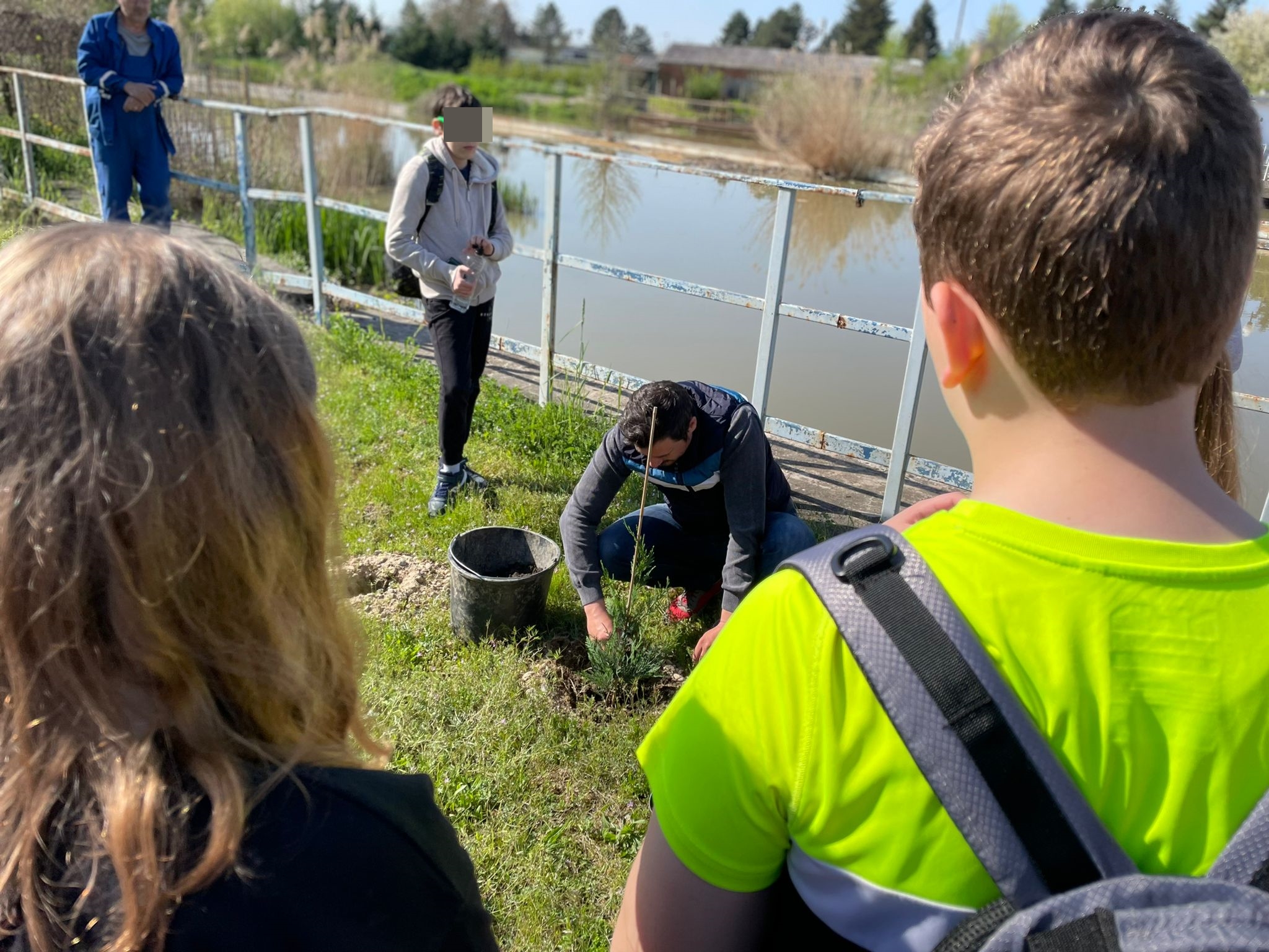 plantare plantari (8)