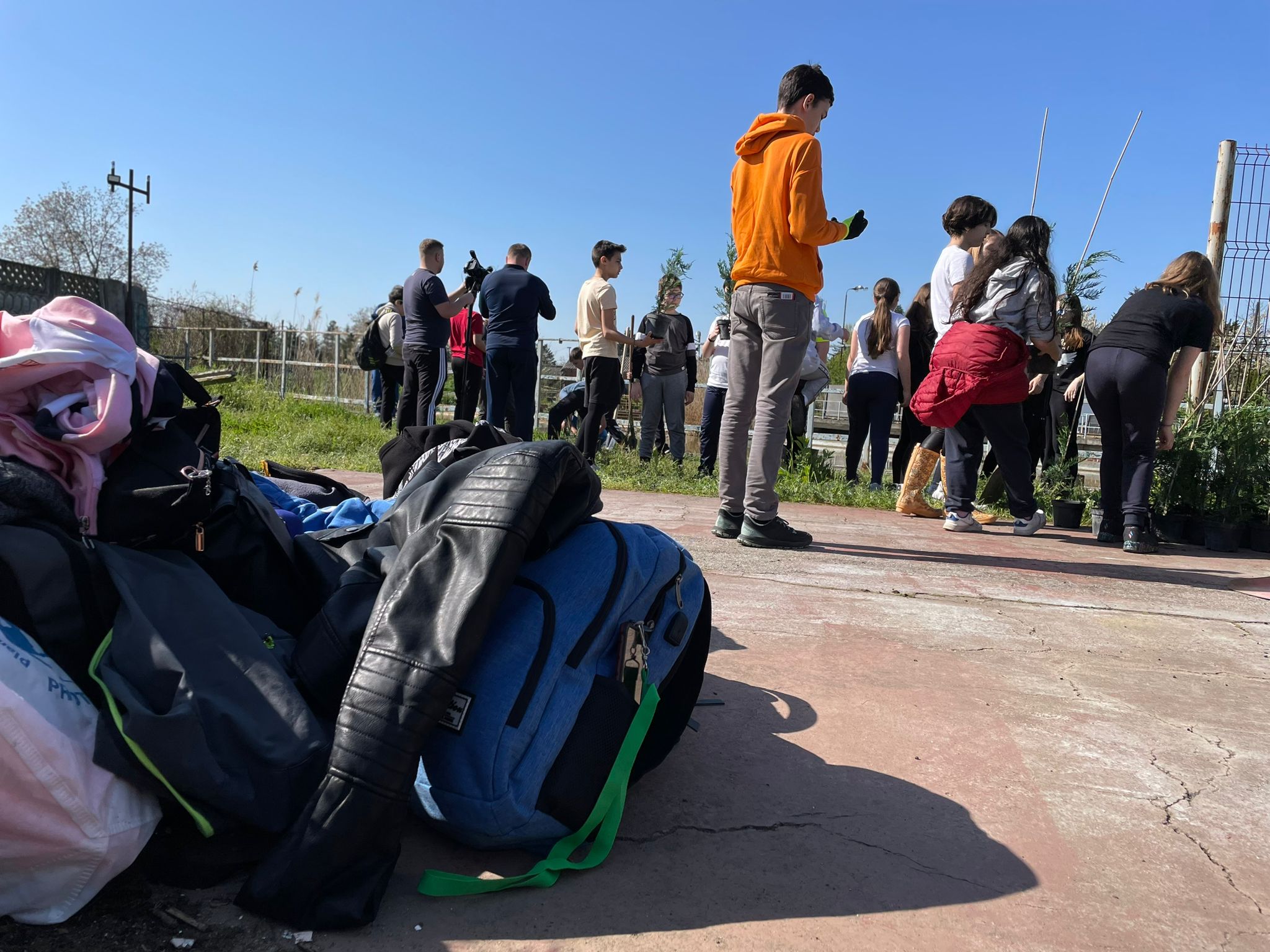 plantare plantari (9)