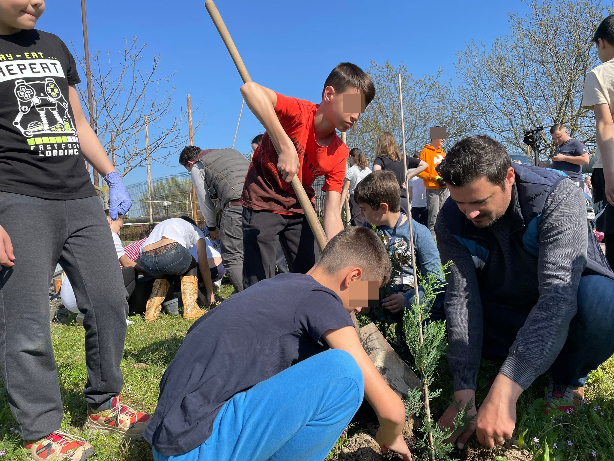 plantare plantari (11)