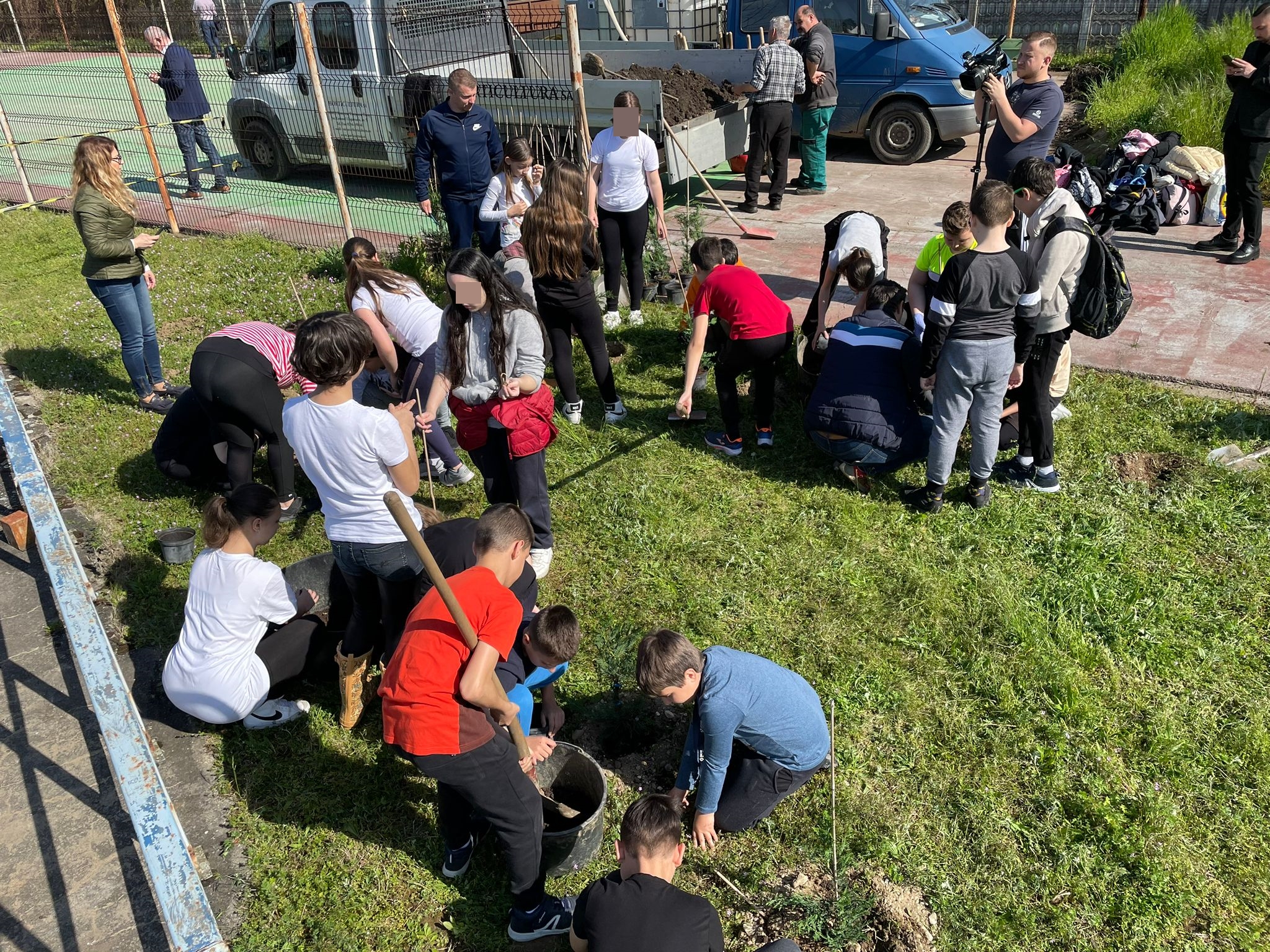 plantare plantari (14)