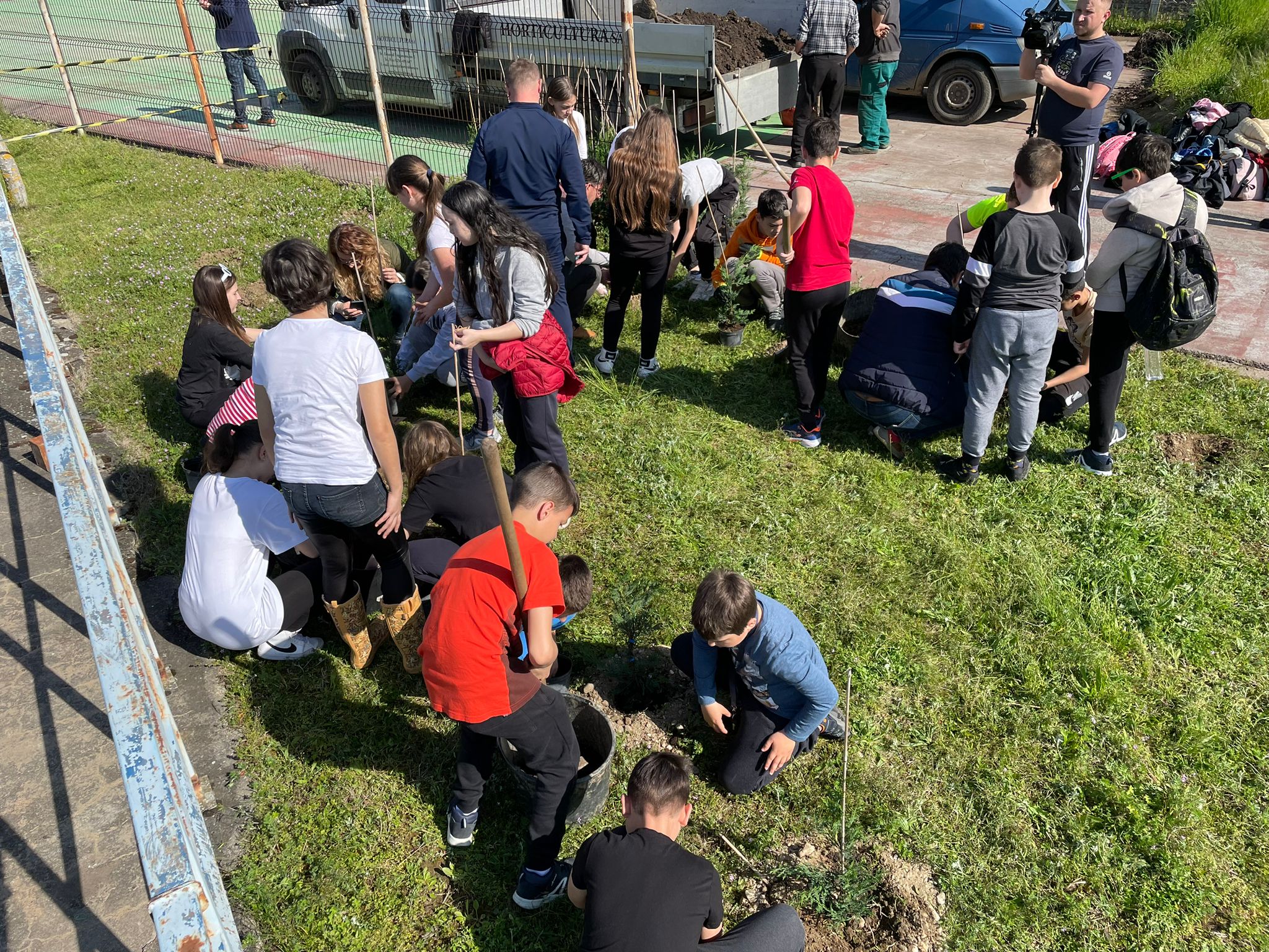 plantare plantari (15)