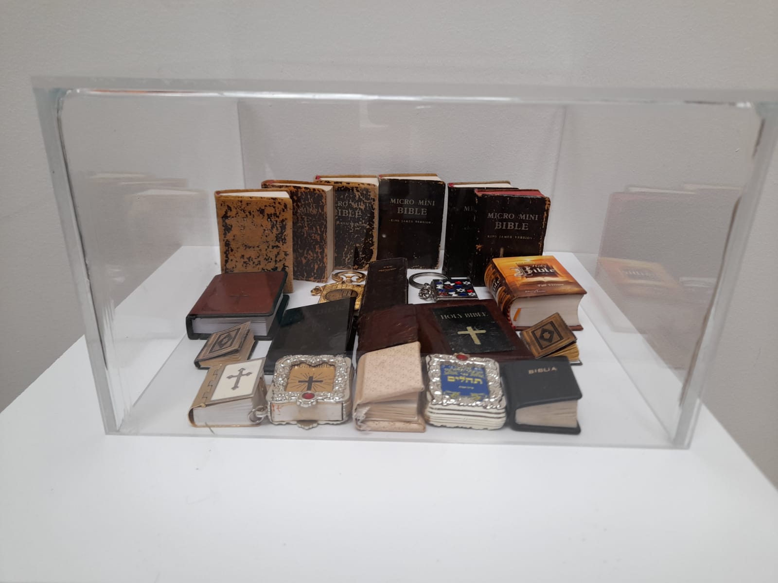 muzeul bibliei cea mai mare biblie timisoara (14)