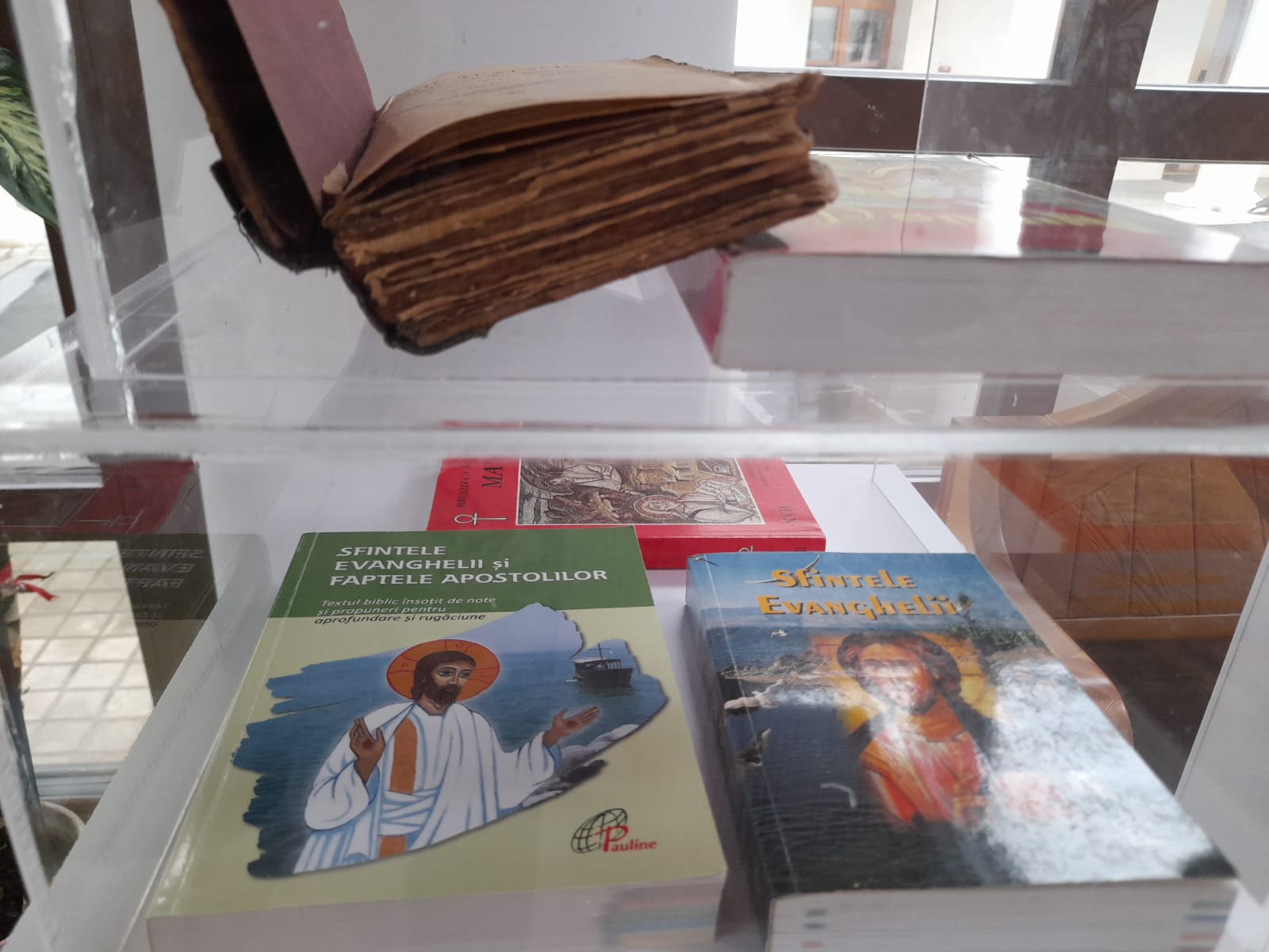 muzeul bibliei cea mai mare biblie timisoara (18)