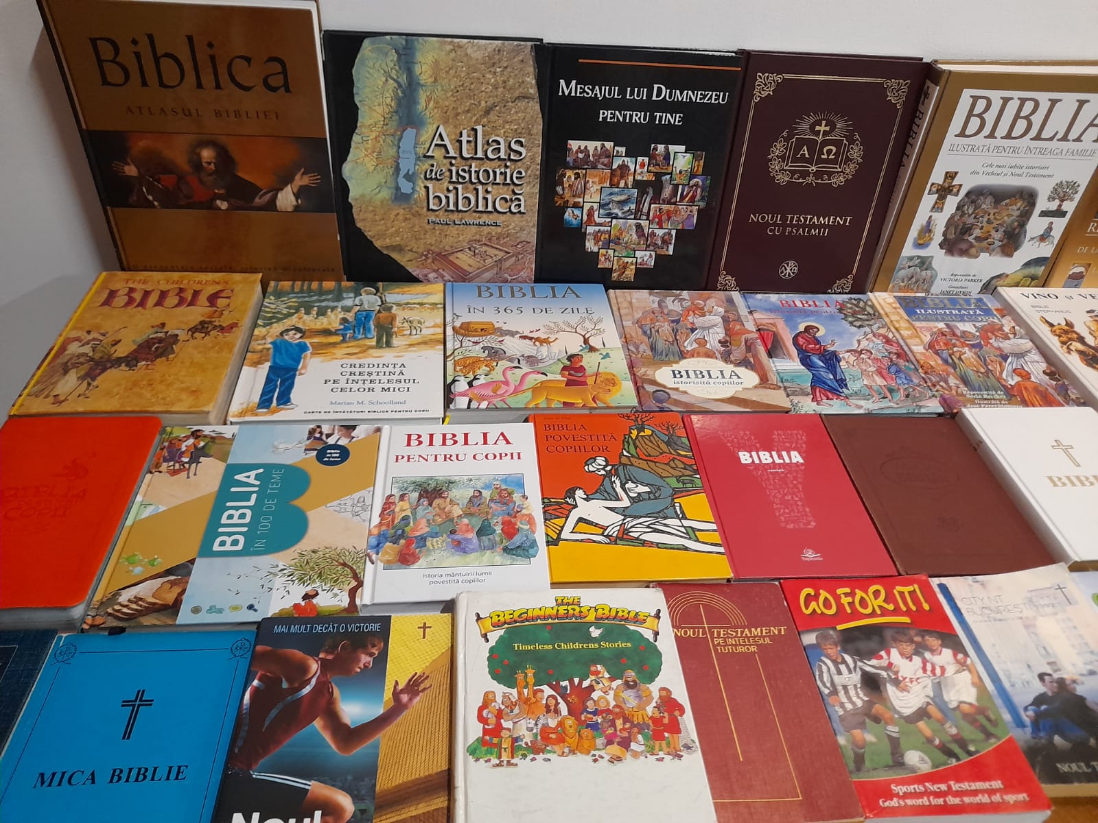 muzeul bibliei cea mai mare biblie timisoara (21)