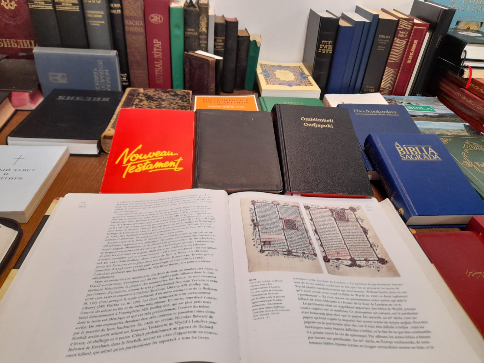 muzeul bibliei cea mai mare biblie timisoara (24)