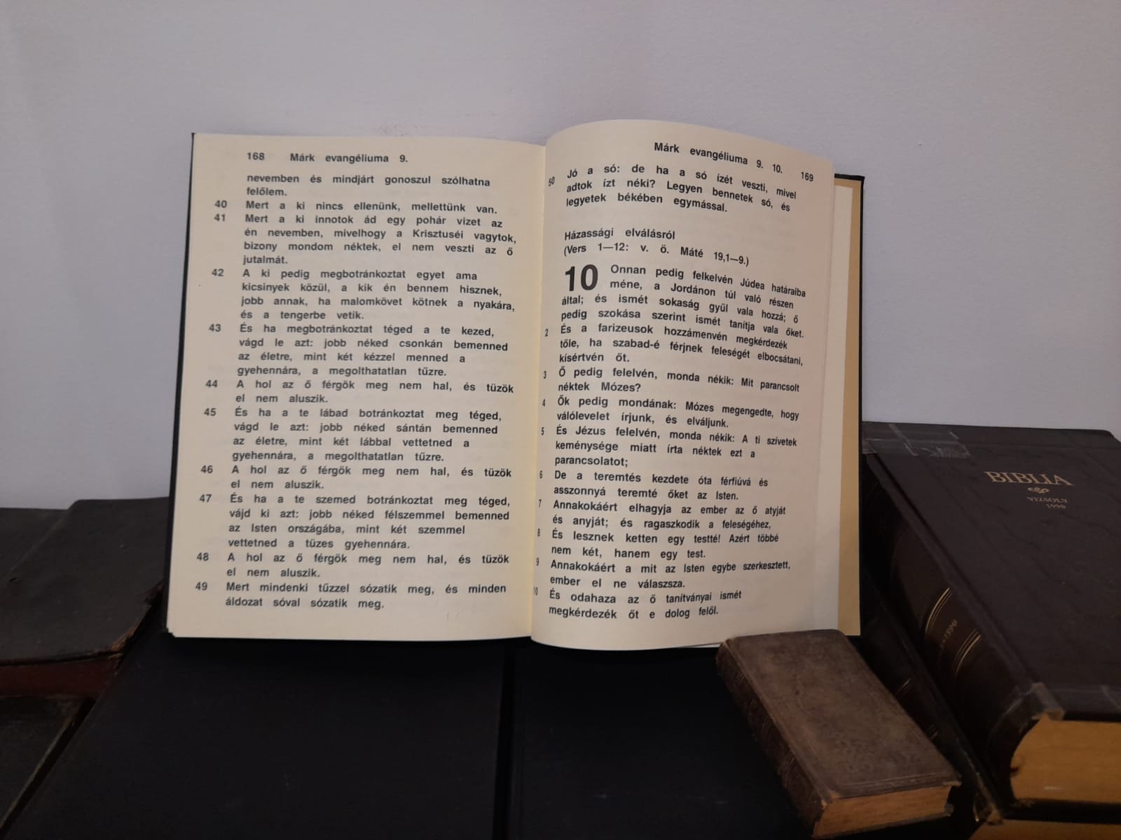 muzeul bibliei cea mai mare biblie timisoara (26)