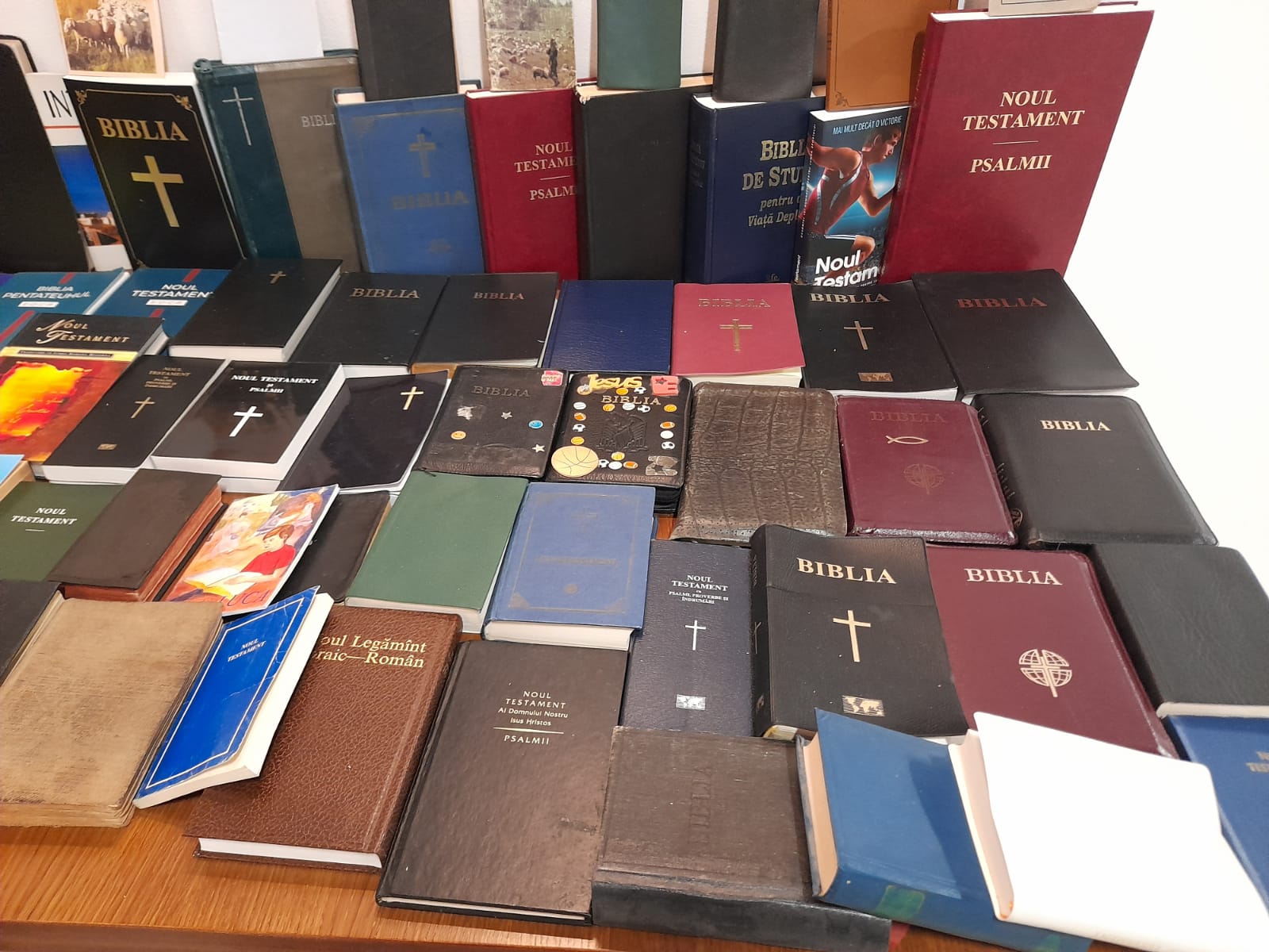 muzeul bibliei cea mai mare biblie timisoara (28)