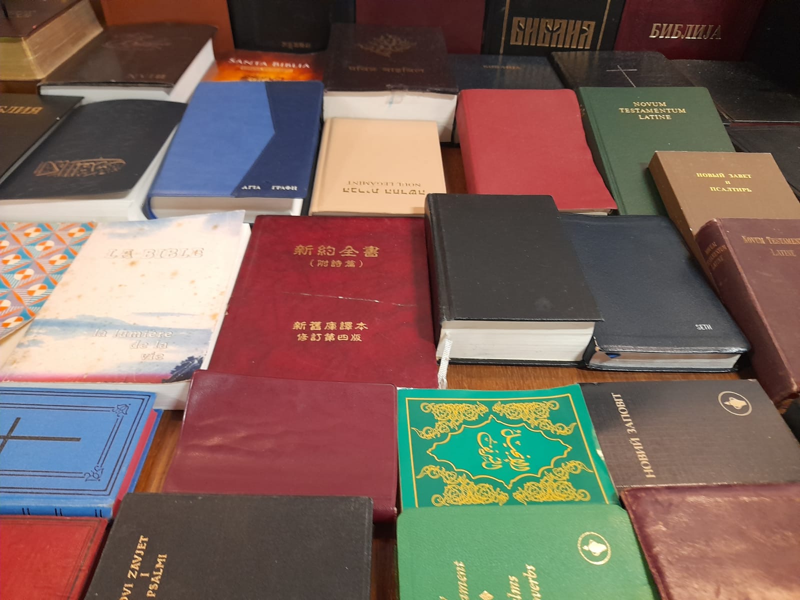 muzeul bibliei cea mai mare biblie timisoara (29)