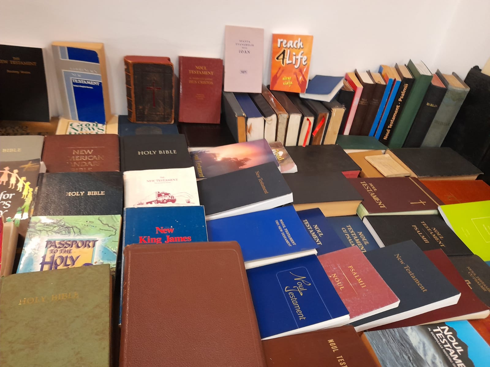 muzeul bibliei cea mai mare biblie timisoara (33)