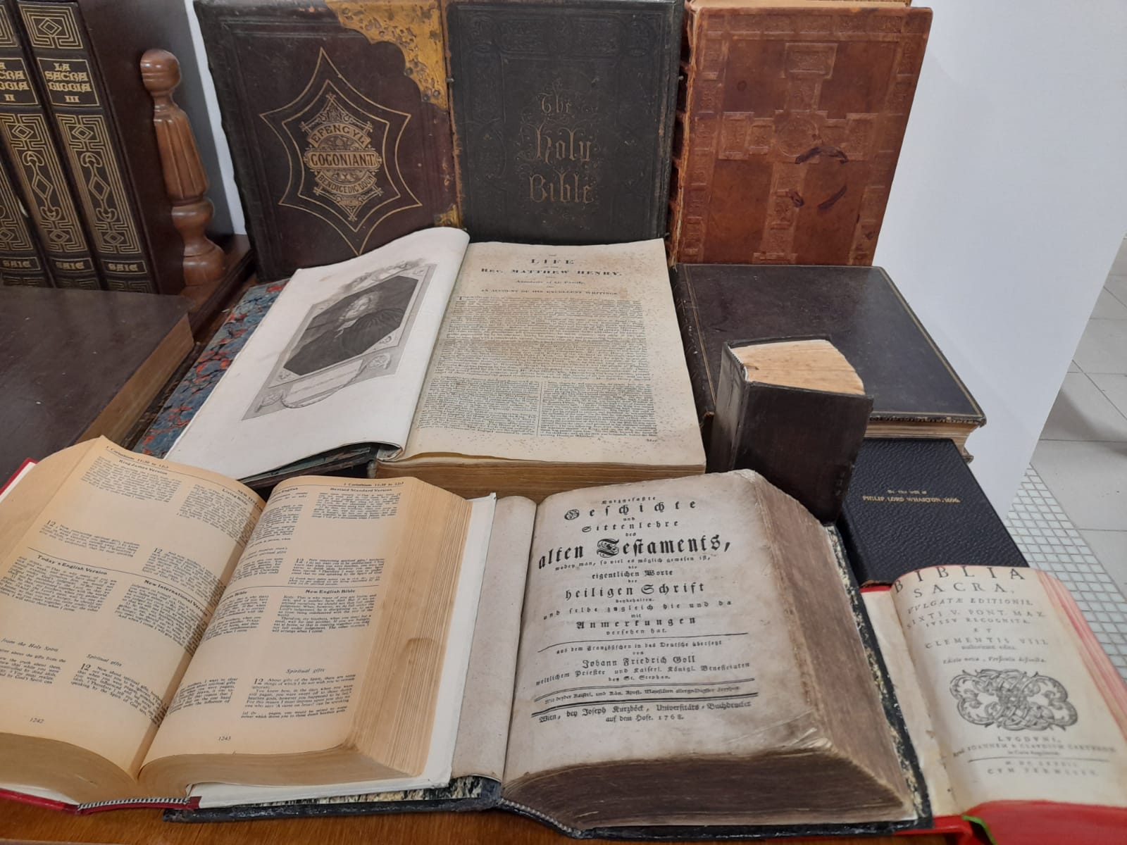 muzeul bibliei cea mai mare biblie timisoara (34)