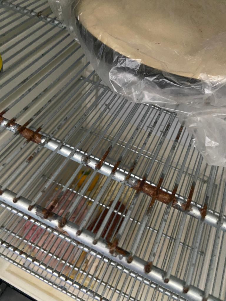 WhatsApp Image 2023-04-25 at 18.34.48