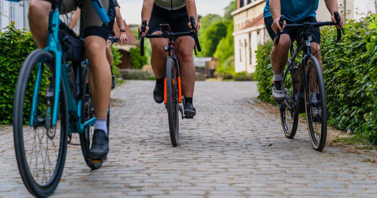 Activități din Timișoara în data de 11 octombrie 2024. Activități din Timișoara în data de 11 octombrie 2024.