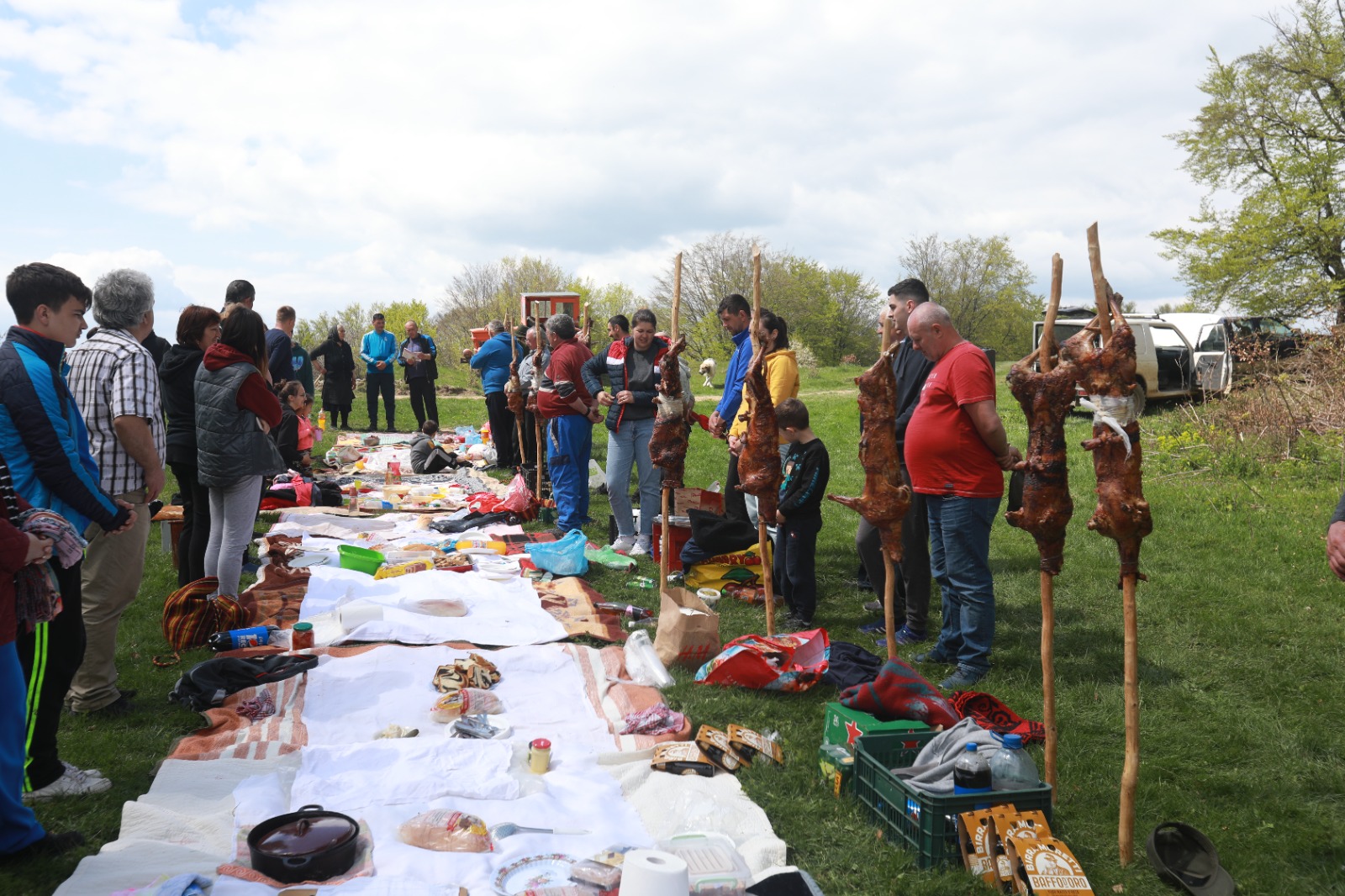 masuratul oilor rudaria 2023