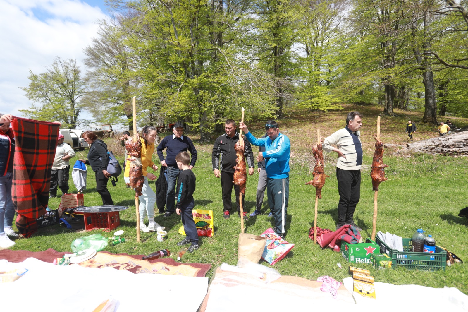 masuratul oilor rudaria 2023