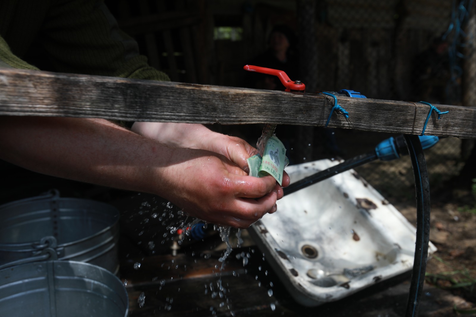 masuratul oilor rudaria 2023