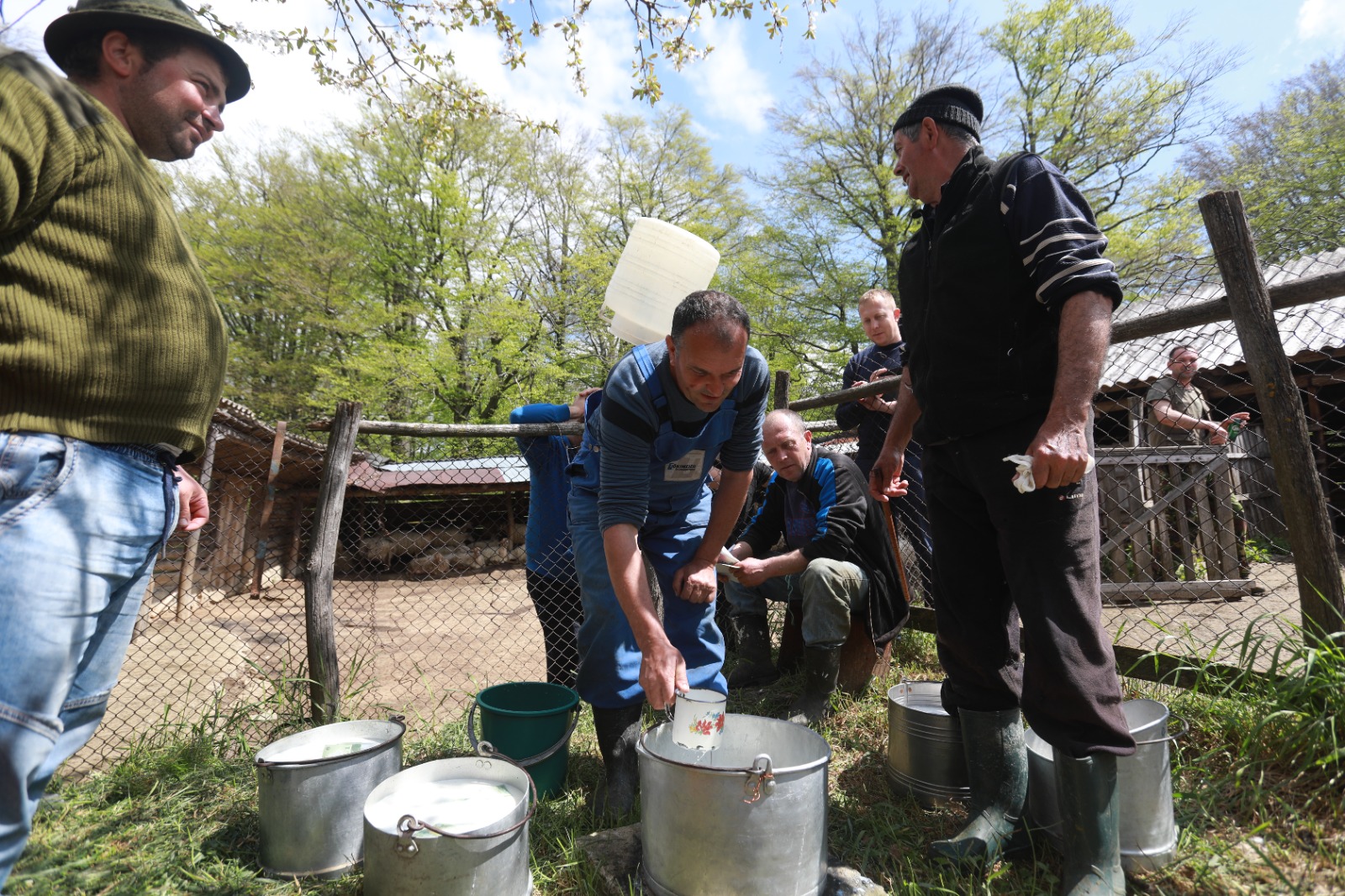 masuratul oilor rudaria 2023Image 2023-05-08 at 10.16.43 (1)