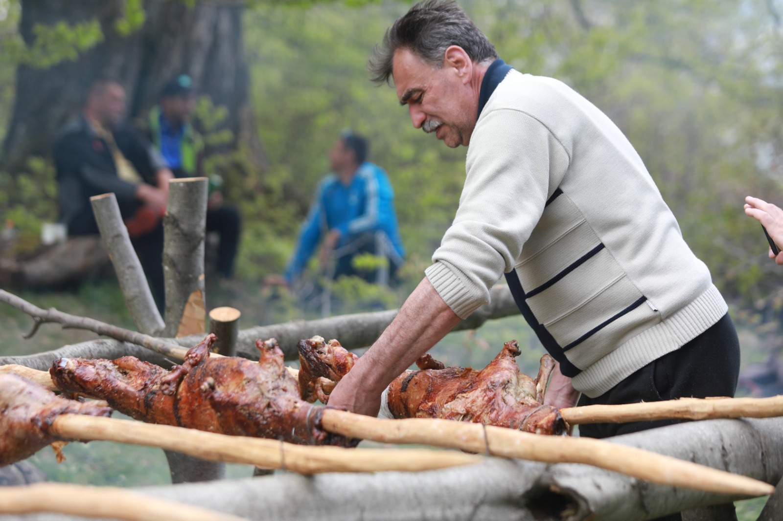 masuratul oilor rudaria 2023