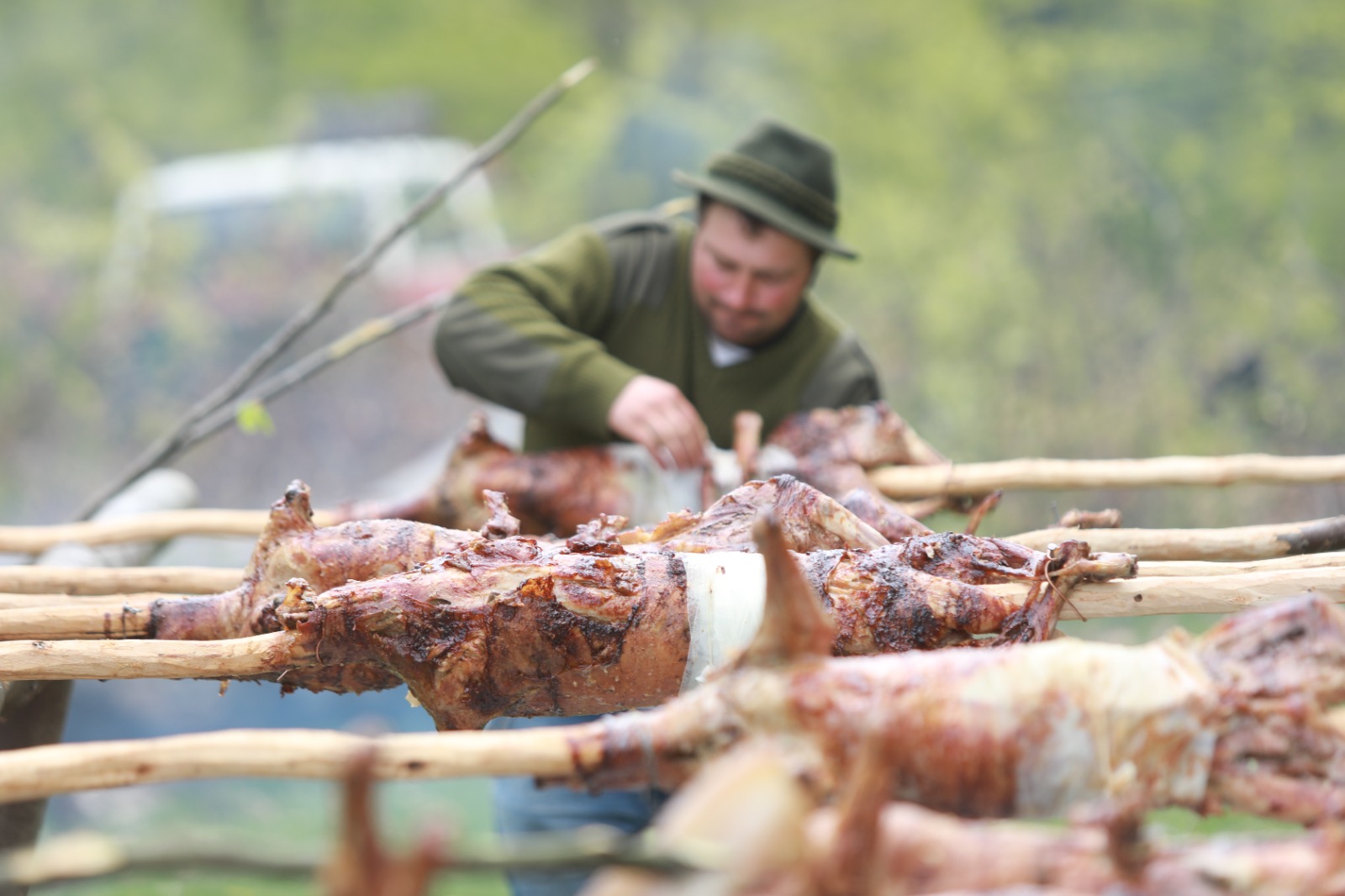 masuratul oilor rudaria 2023