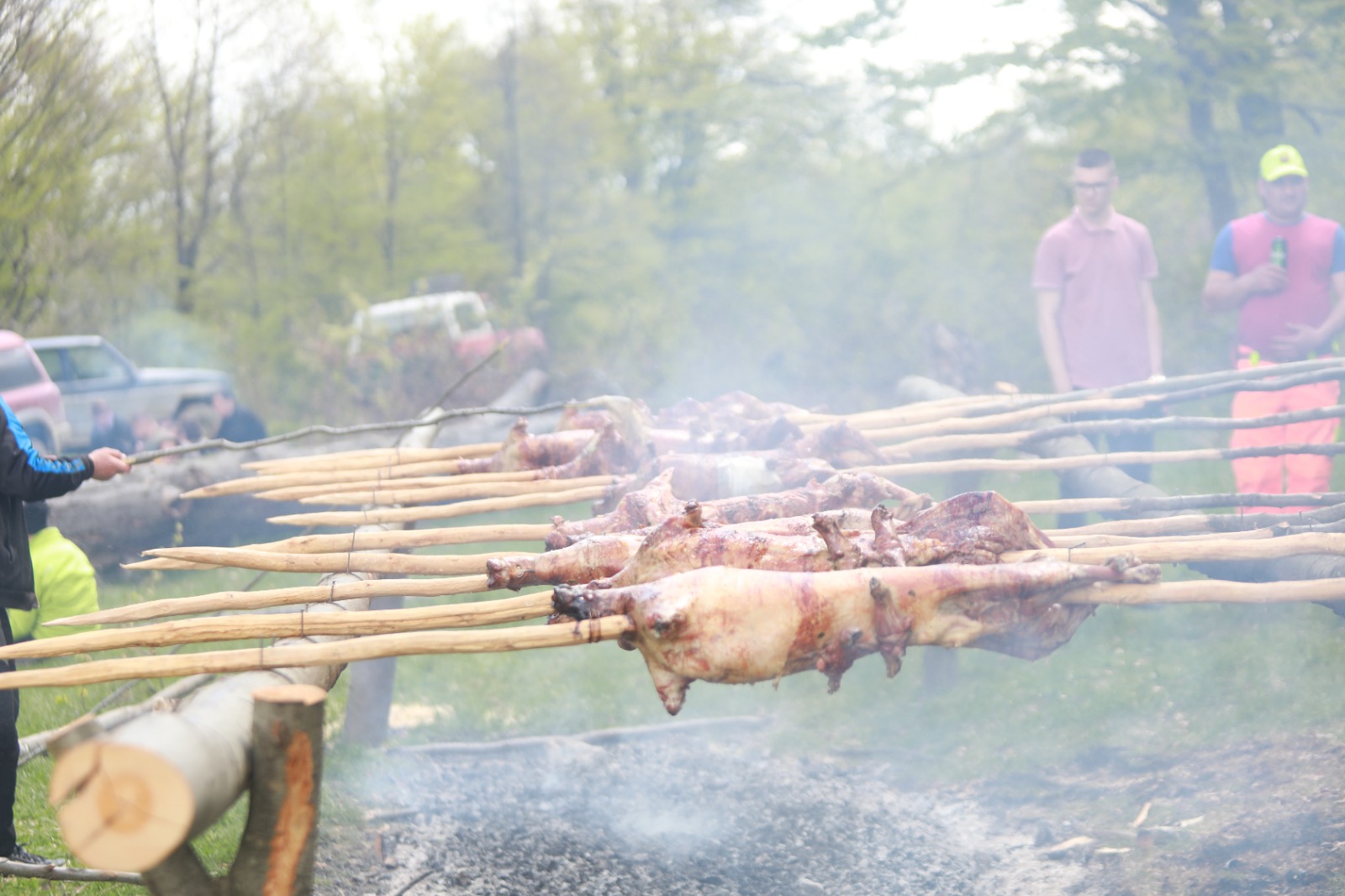 masuratul oilor rudaria 2023Image 2023-05-08 at 10.16.39