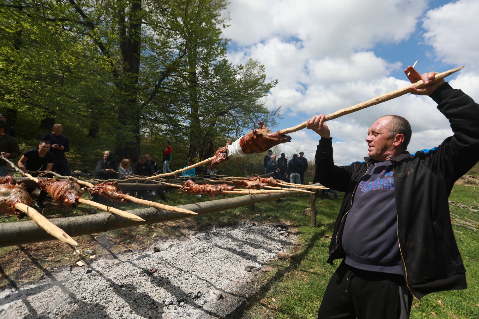 masuratul oilor rudaria 2023