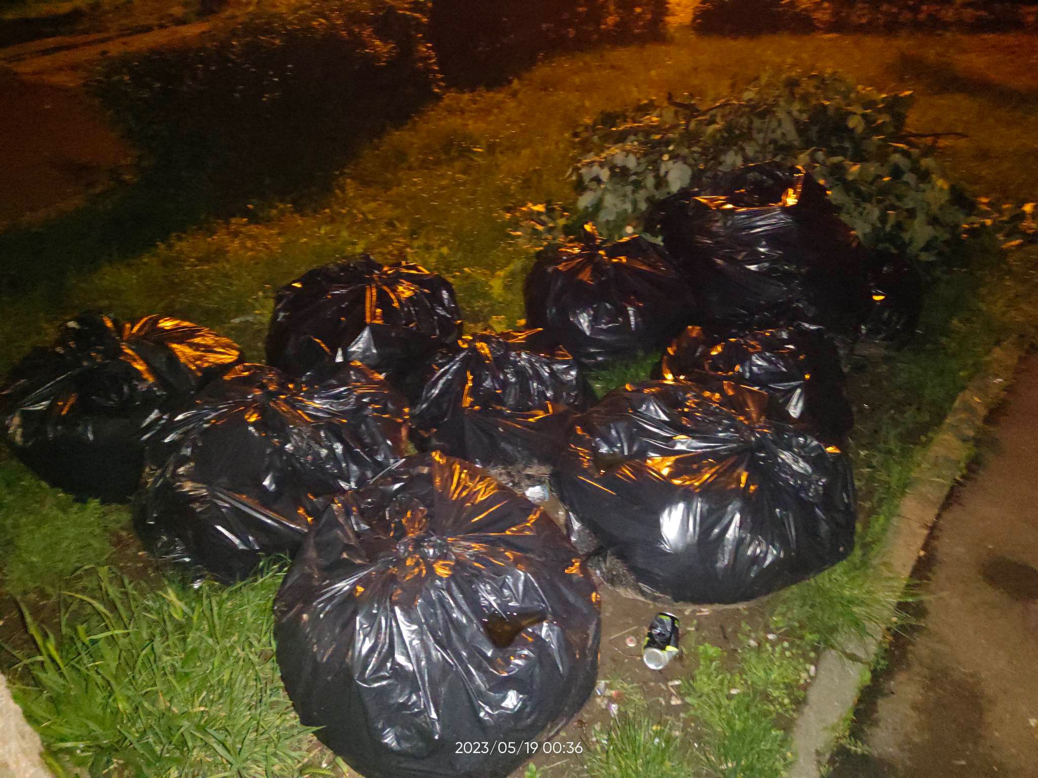 Ceasul floral din zona centrală a Timișoarei, ajuns depozit de gunoi