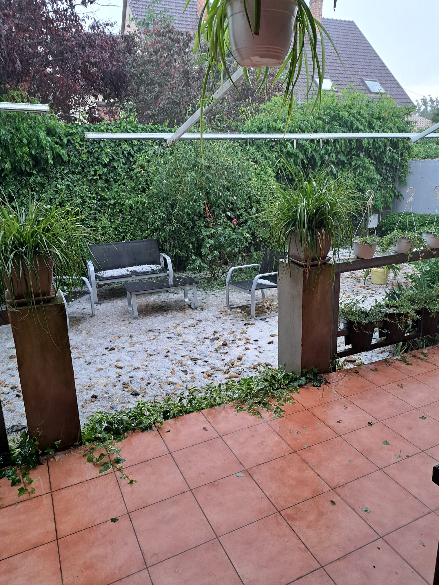 grindina furtuna (1)