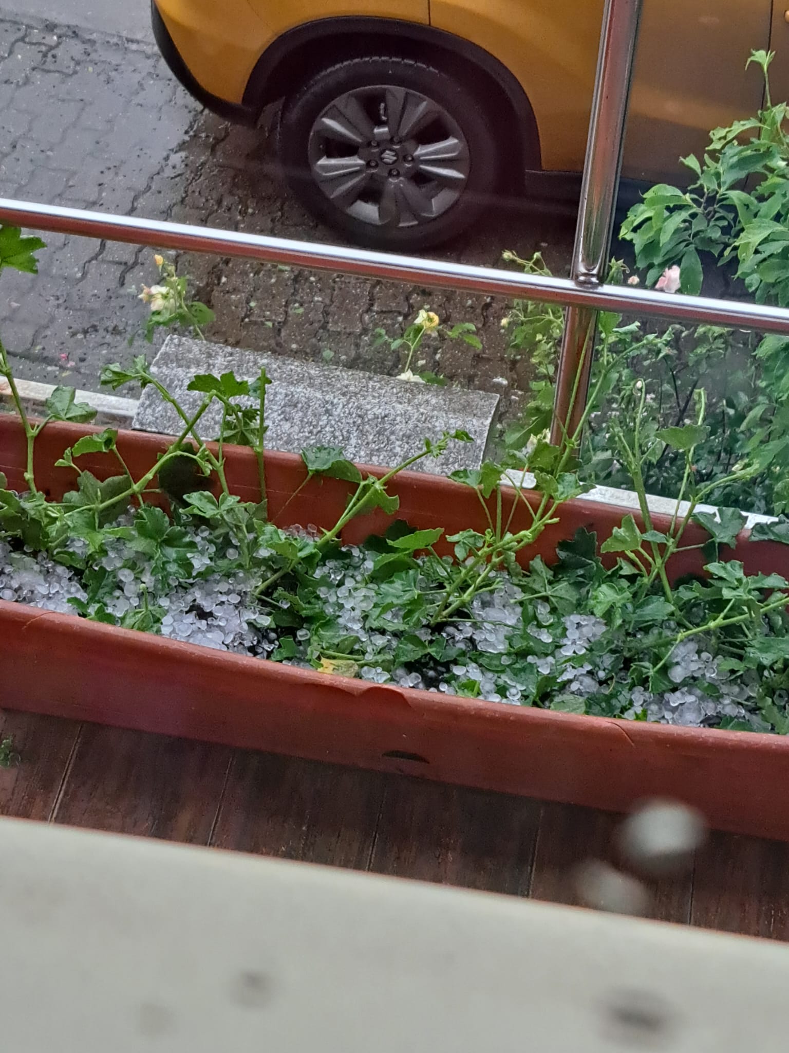 grindina furtuna (5)