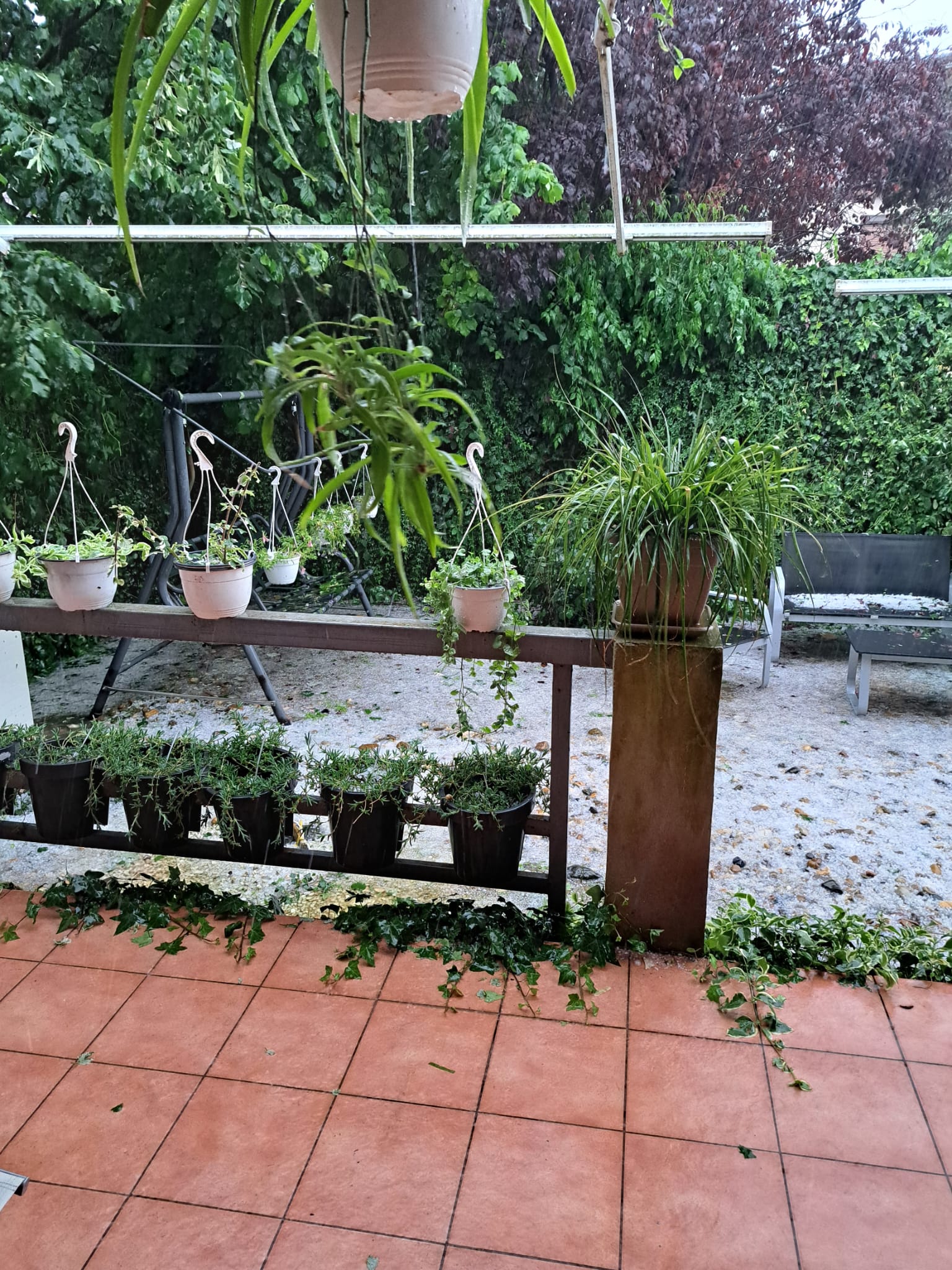 grindina furtuna (6)