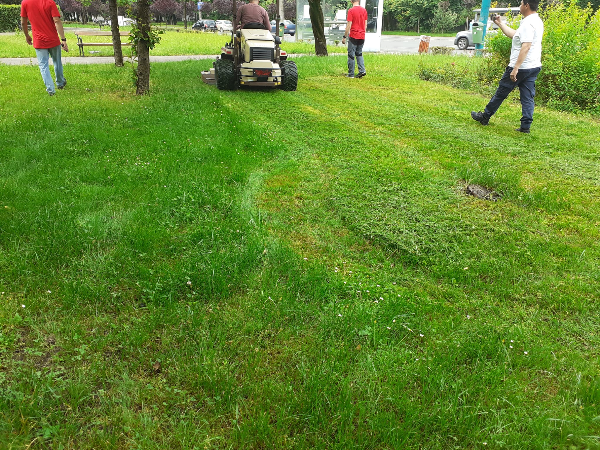 horticultura utilaj iarba (3)