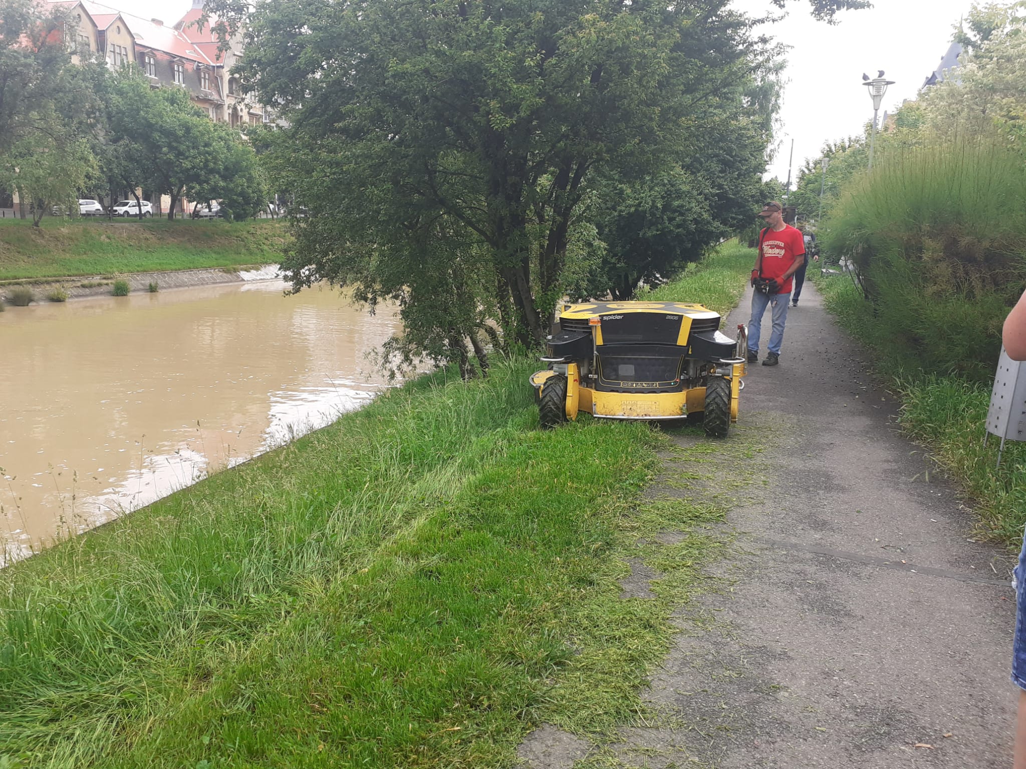 horticultura utilaj iarba (12)