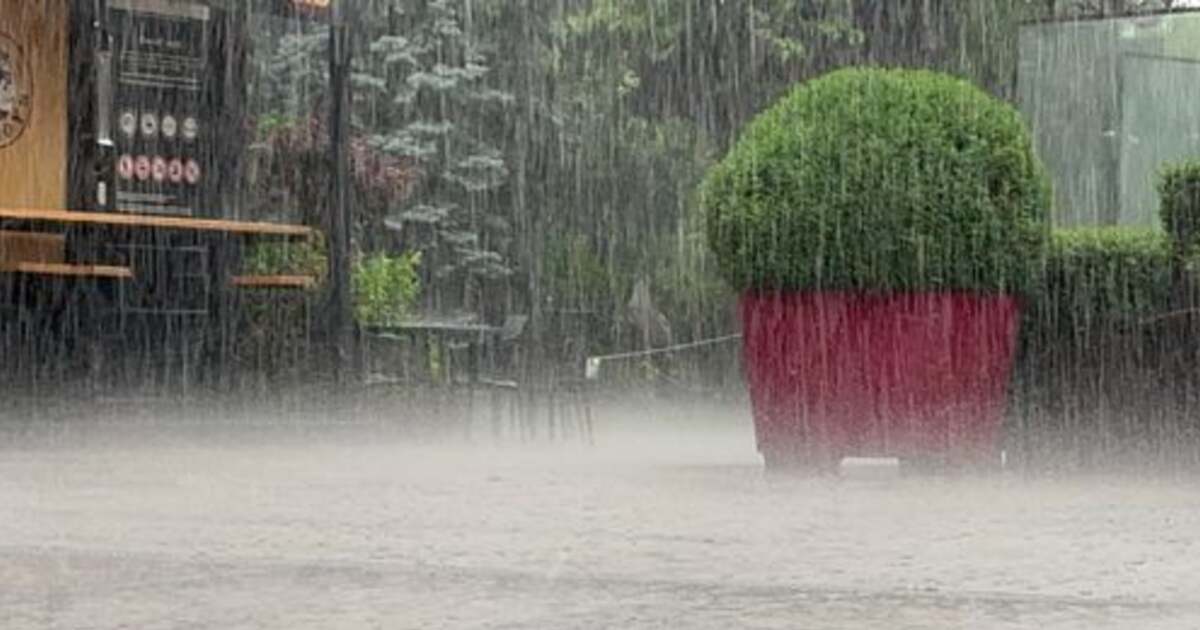 Atenție! Ploi și vijelii în Timiș joi; canicula se menține până vineri seară.