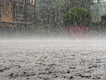 Cod Portocaliu de ploi abundente în Timiș