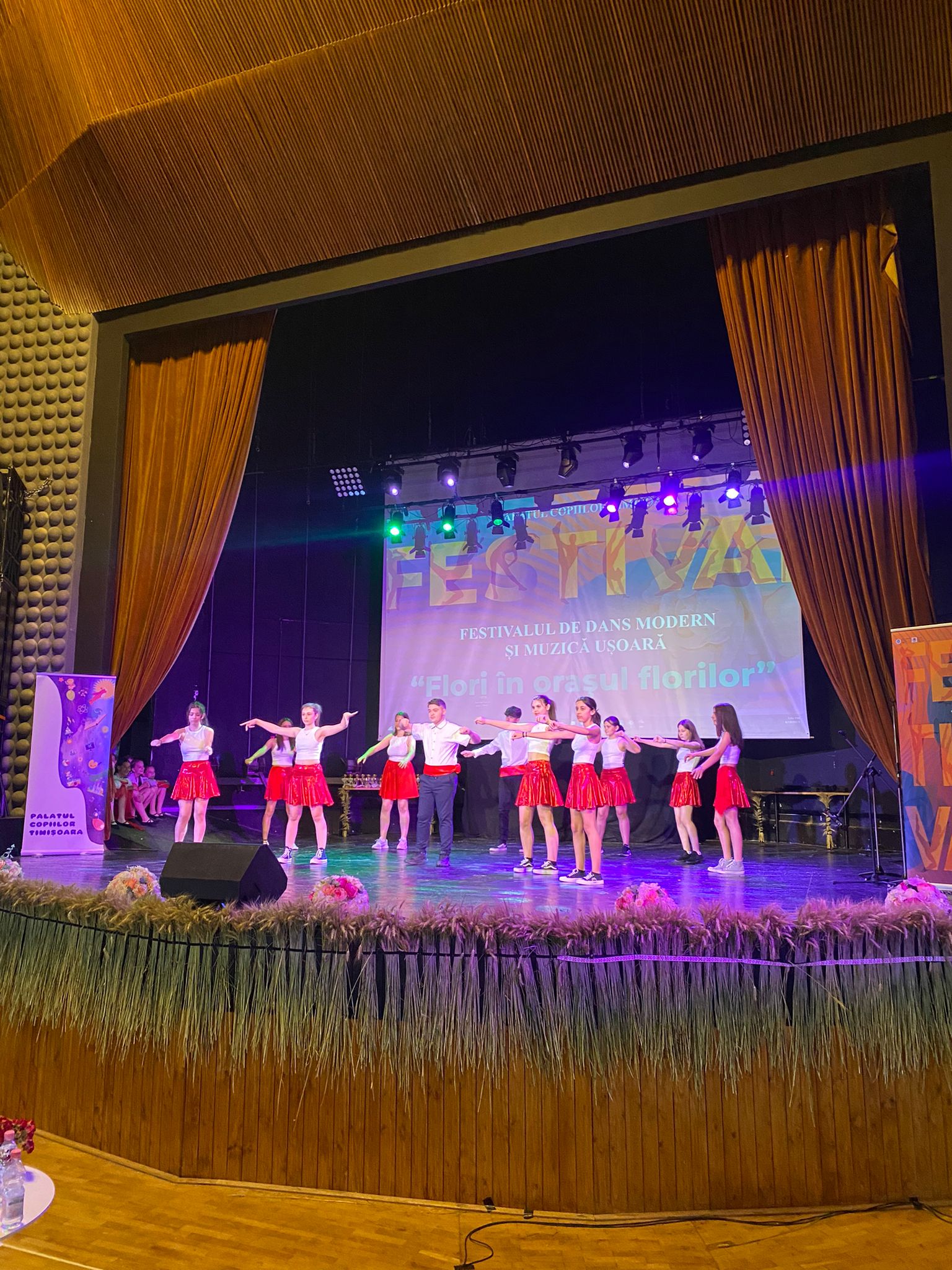 flori in orasul florilor