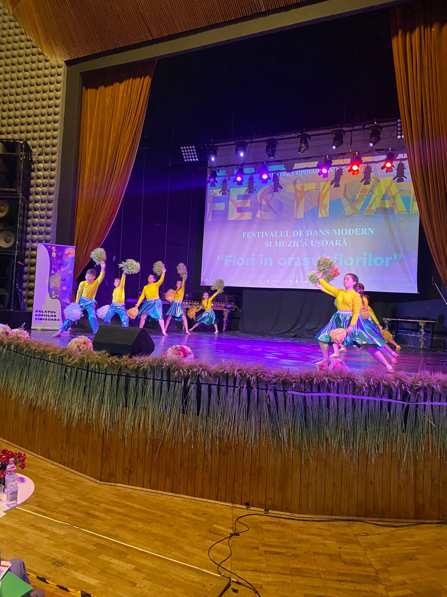 flori in orasul florilor