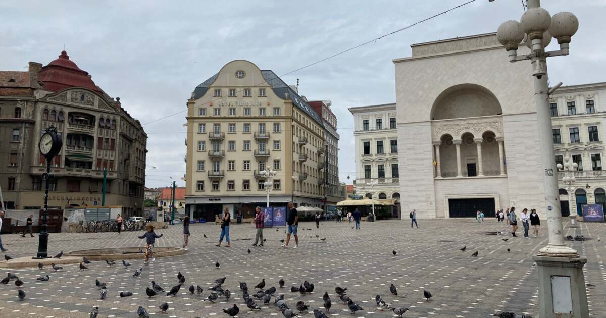 Activități de zi cu zi în Timișoara pe 5 martie 2024 Activități de zi cu zi în Timișoara pe 5 martie 2024