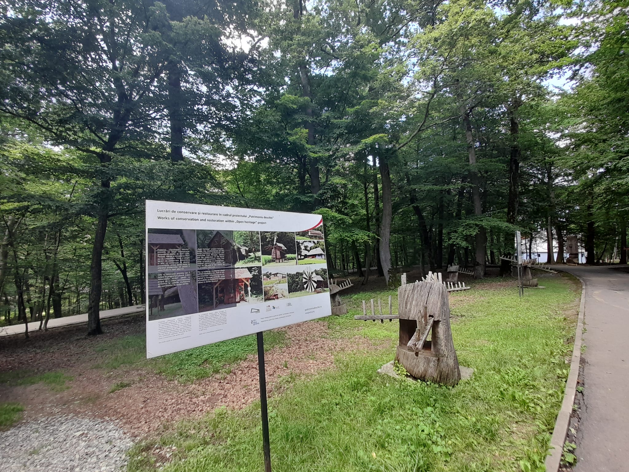 muzeul astra sibiu (3)