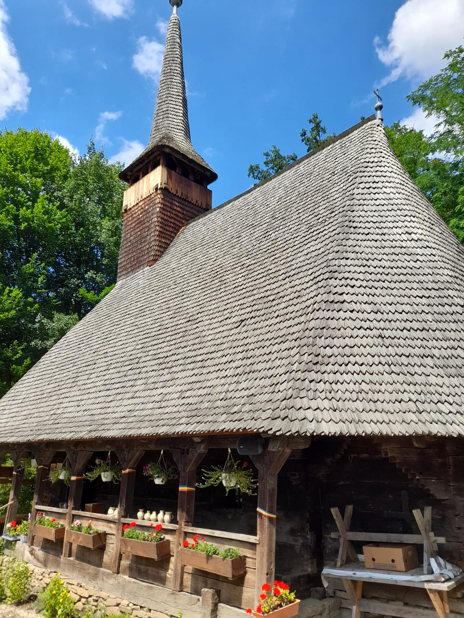 muzeul astra sibiu (8)