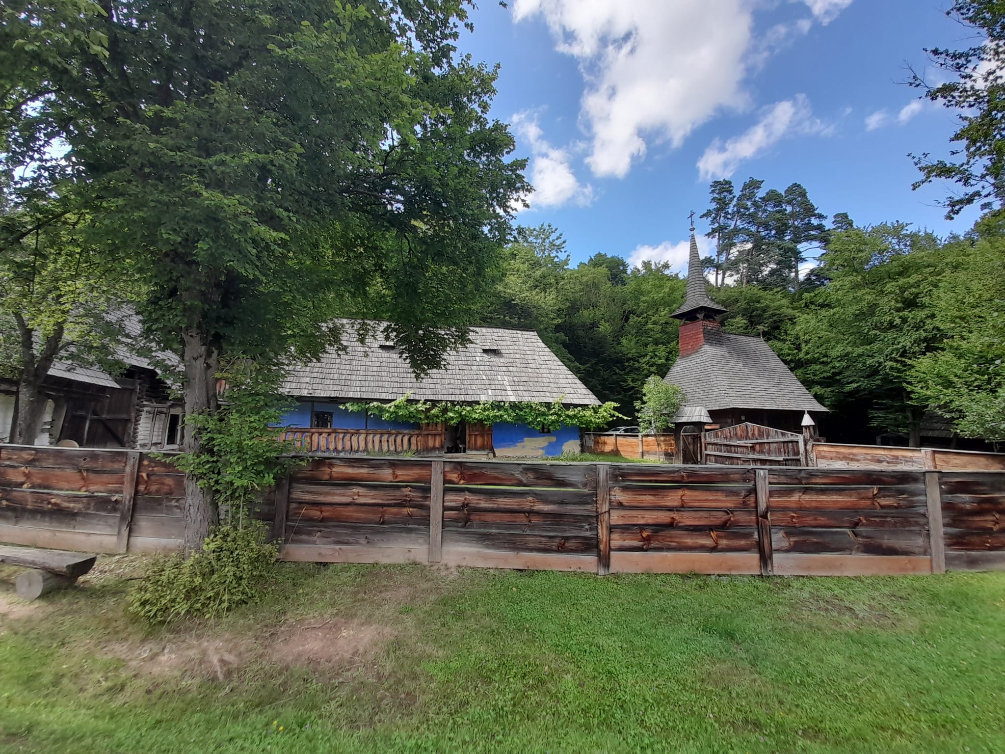 muzeul astra sibiu (15)