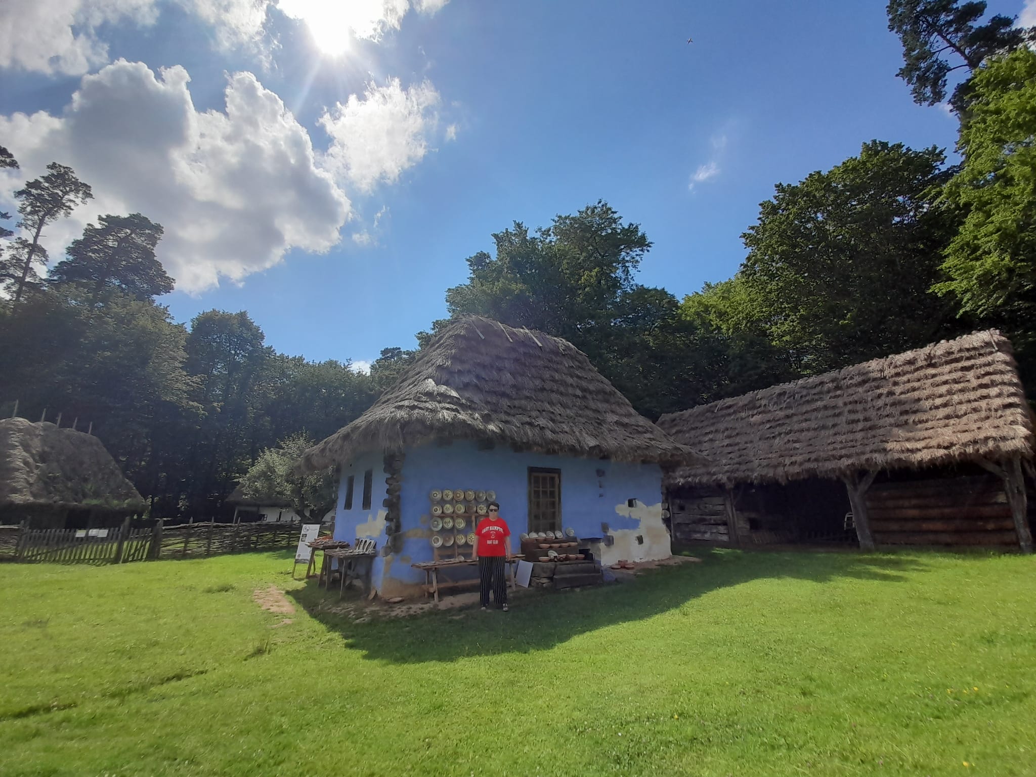 muzeul astra sibiu (16)