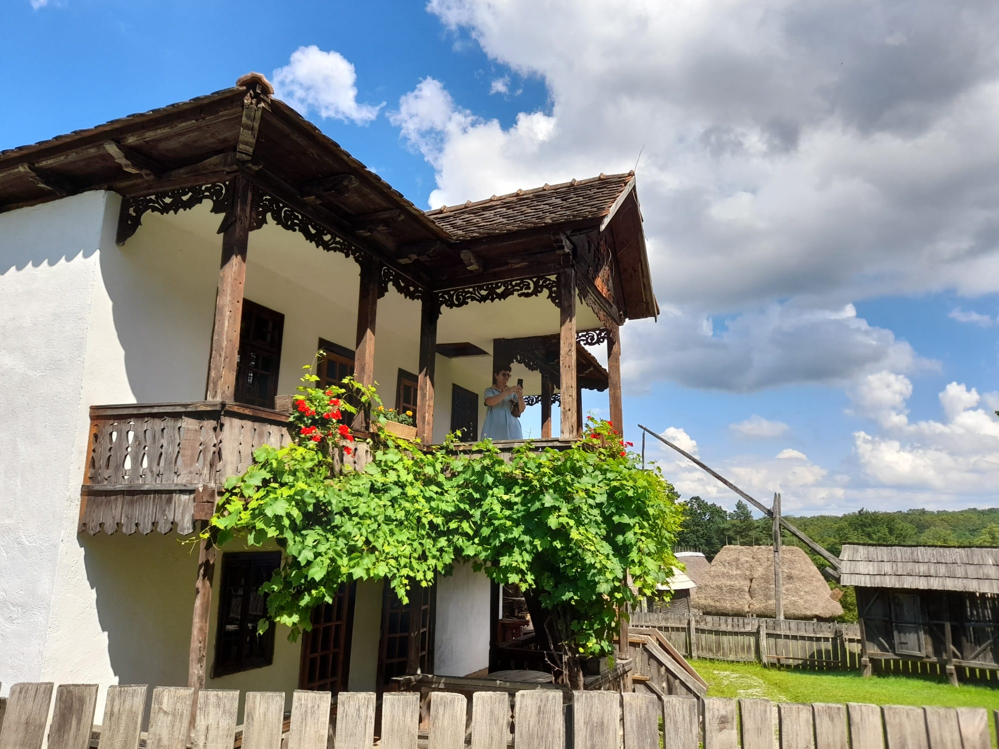 muzeul astra sibiu (17)