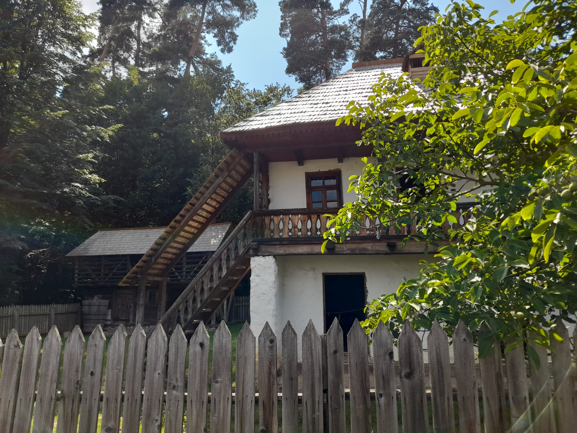 muzeul astra sibiu (18)