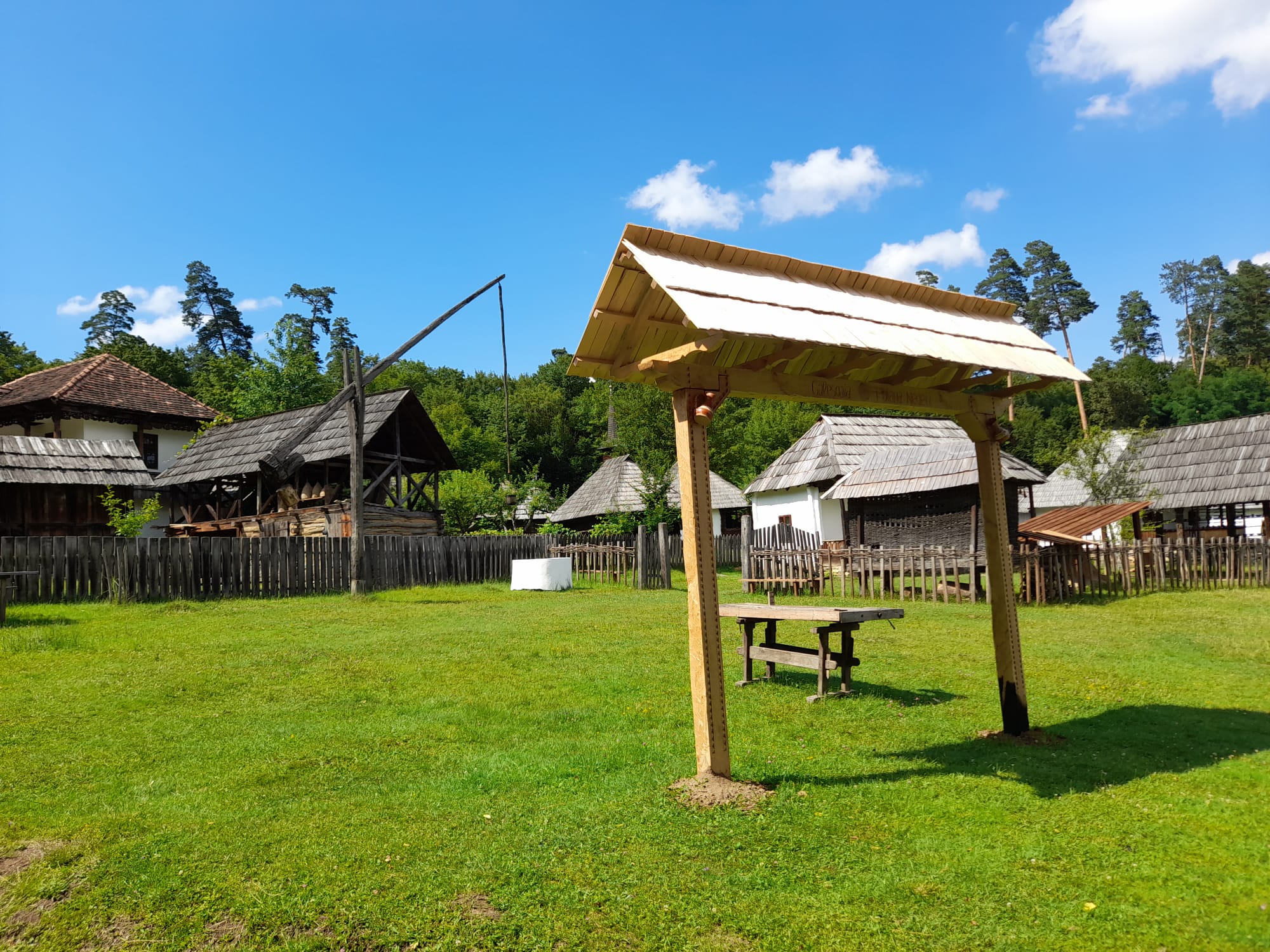 muzeul astra sibiu (19)