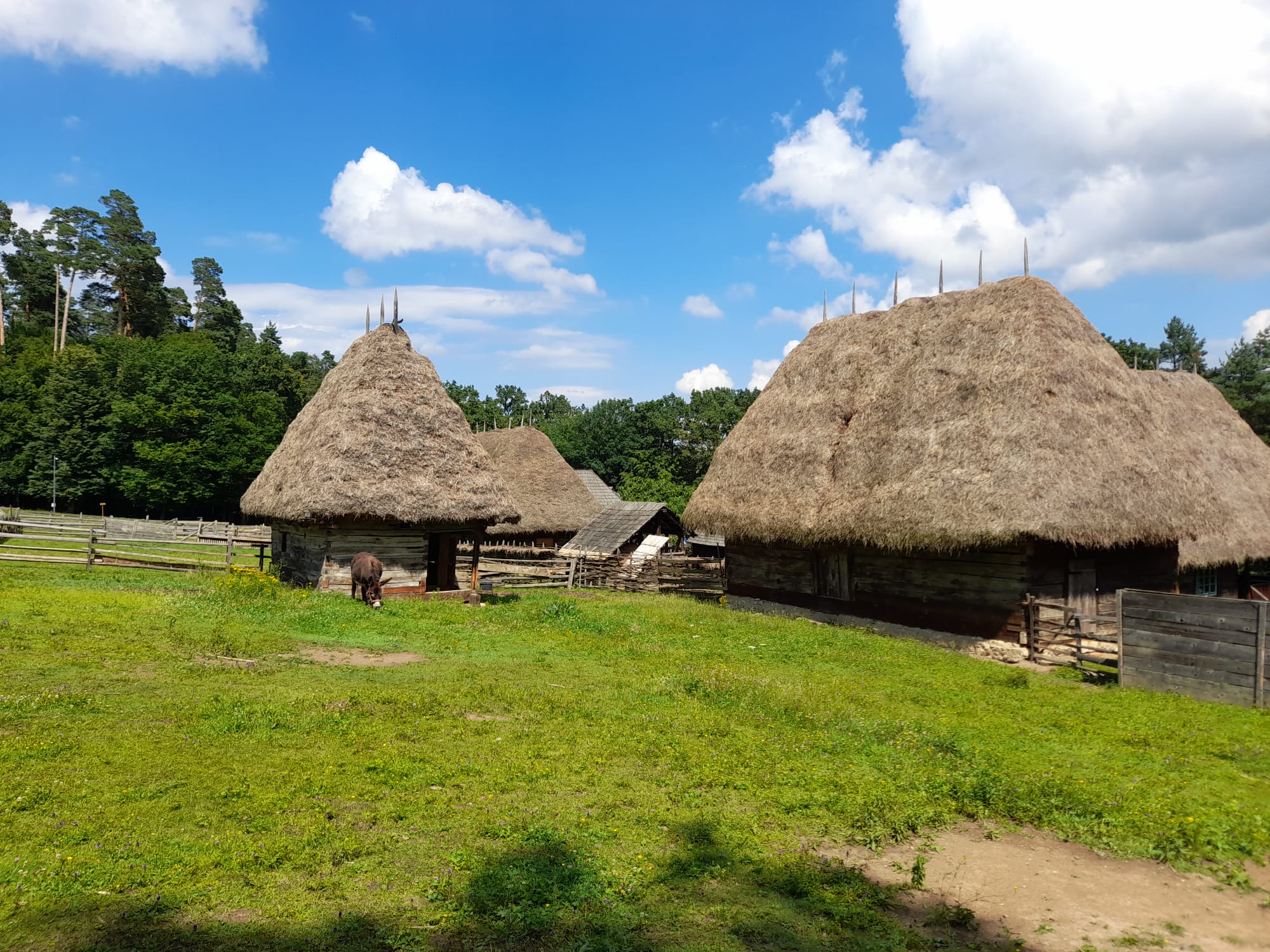 muzeul astra sibiu (22)