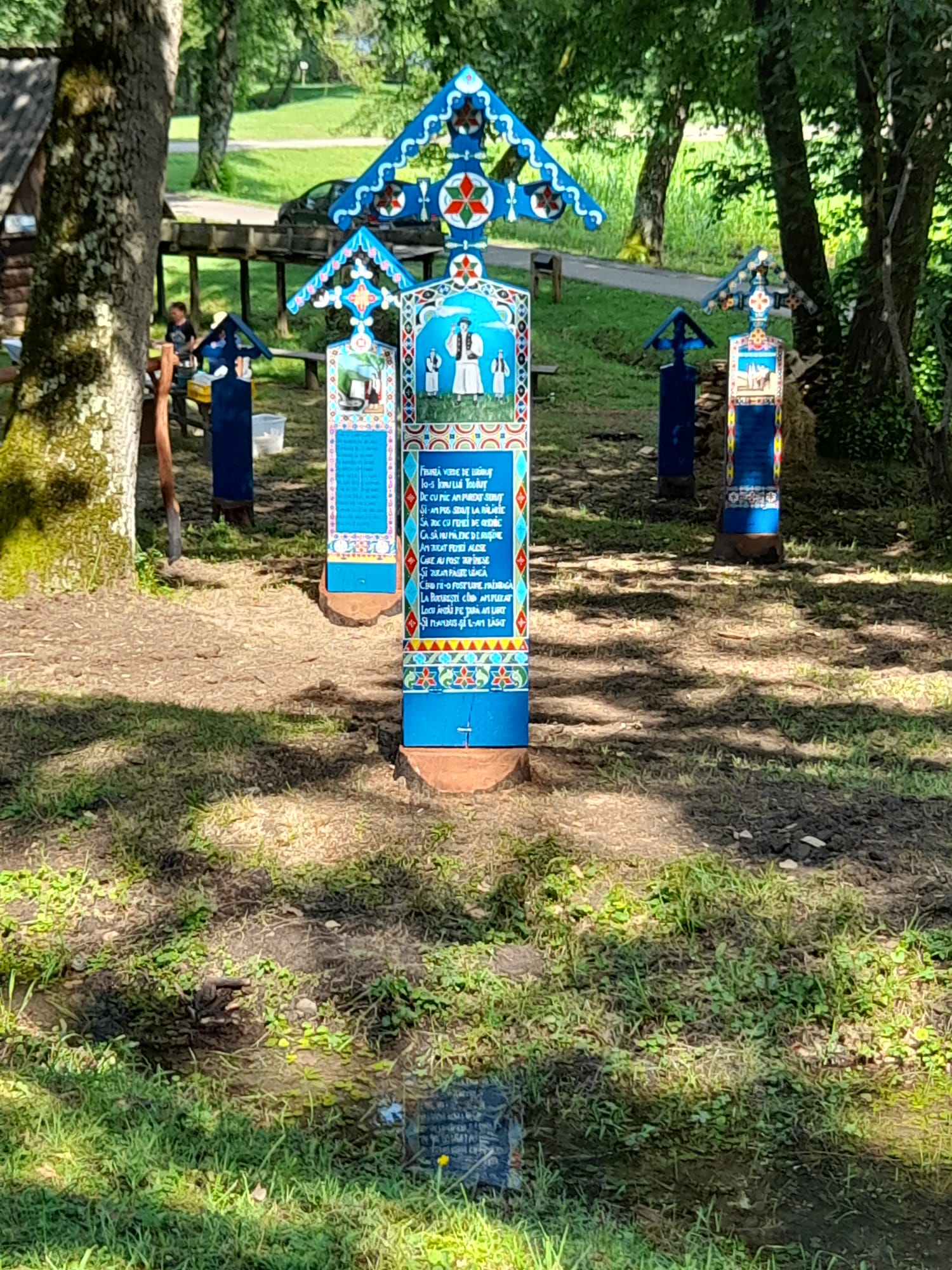 muzeul astra sibiu (23)