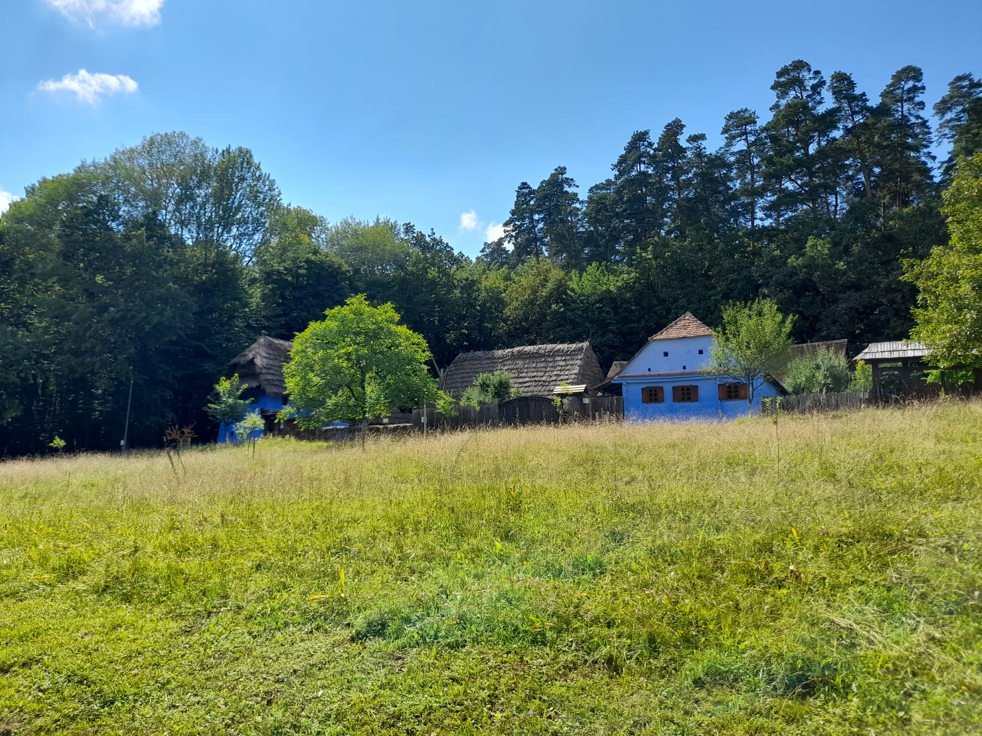 muzeul astra sibiu (29)