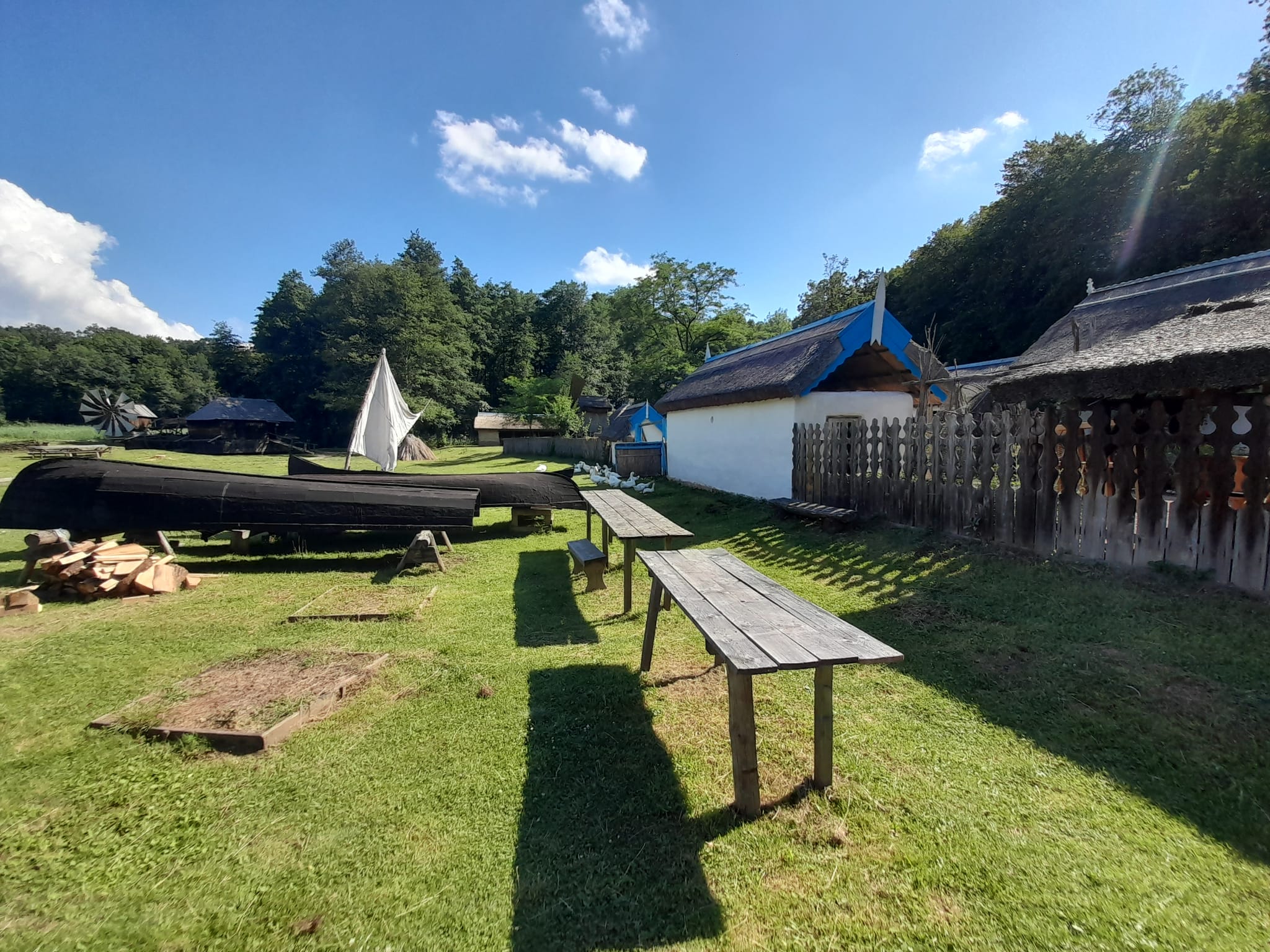 muzeul astra sibiu (33)